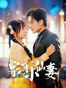 家有小仙妻（101集全）张力壬＆象韵洁 - 紫橙阁短剧