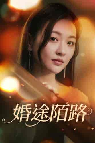 婚途陌路（15集） - 紫橙阁短剧