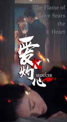 爱火灼心（99集） - 紫橙阁短剧