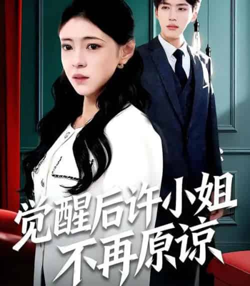 觉醒后许小姐不再原谅（102集全）何玘薇＆龙琛-紫橙网创项目网