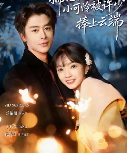揣崽后，小可怜被许少捧上云端（81集全）纪俊良＆张紫璇-紫橙网创项目网