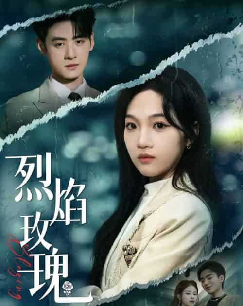 烈焰玫瑰(37集全)王珊珊&武帅康-紫橙网创项目网