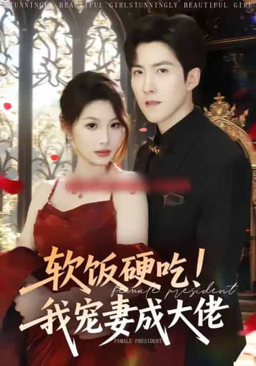 软饭硬吃！我宠妻成大佬（80集全）赵阿东＆黄盈-紫橙网创项目网