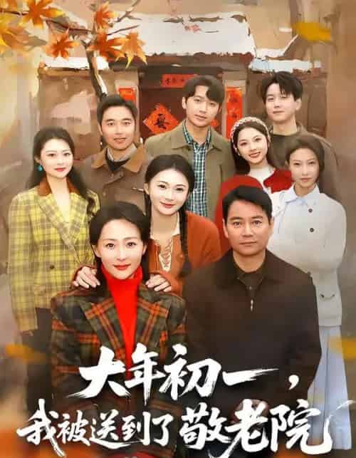大年初一，我被送到了敬老院（60集全）邬倩＆彭振中-紫橙网创项目网