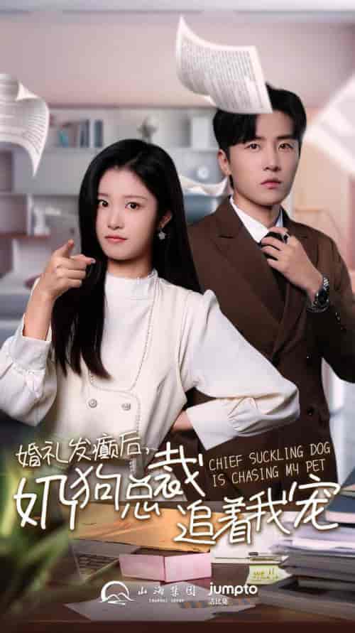 婚礼发癫后奶狗总裁追着我宠（80集全） - 紫橙阁短剧