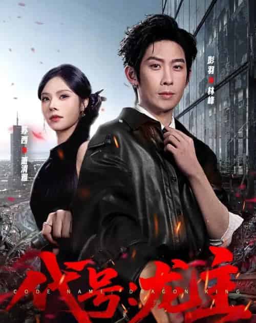 代号:龙主(70集全)彭羽&苏西-紫橙网创项目网
