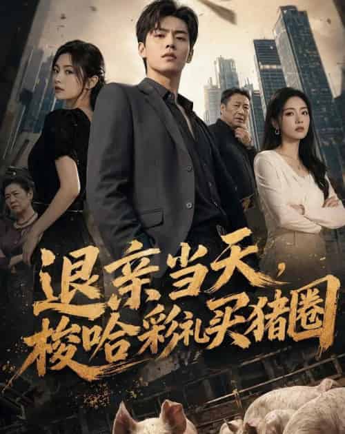 退亲当天,梭哈彩礼买猪圈(43集全)AI-紫橙网创项目网