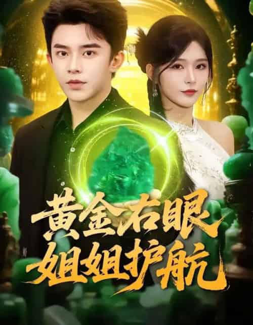 黄金右眼，姐姐护航（81集全）杨妍＆委佳宇-紫橙网创项目网