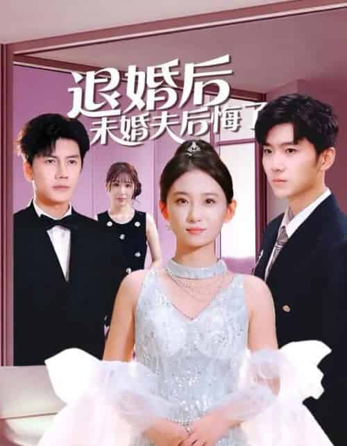 退婚后未婚夫后悔了（86集全）谷笑慧＆邱允南-紫橙网创项目网