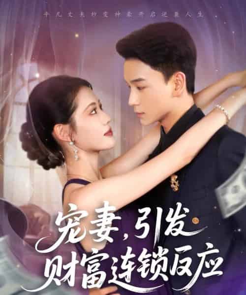 宠妻，引发财富连锁的反应＆宠妻引发财富连锁的反应（80集）范高坡＆董洁-紫橙网创项目网