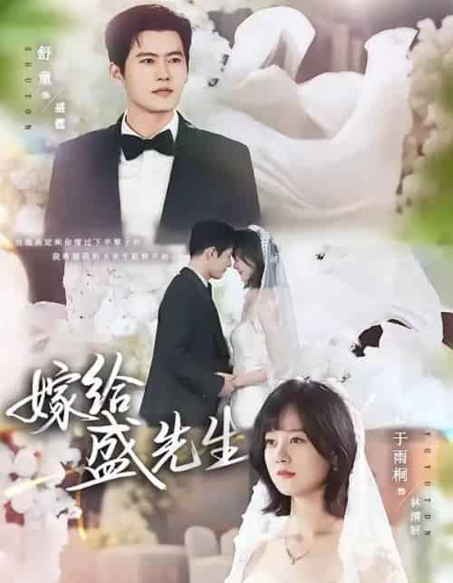 嫁给盛先生（82集全）舒童＆于雨桐-紫橙网创项目网