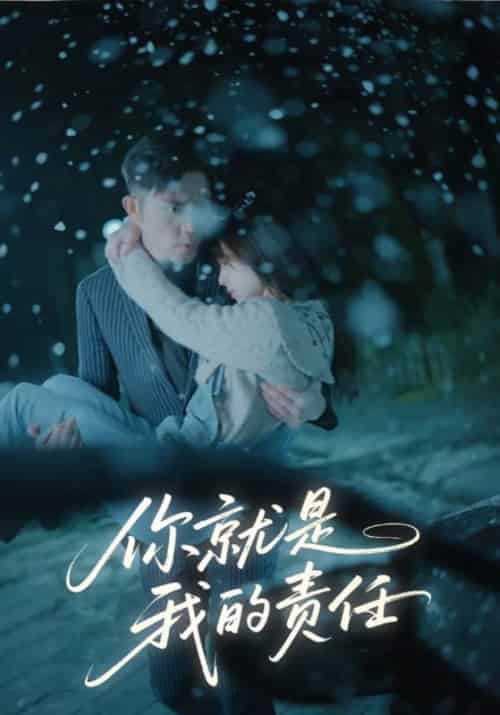 你就是我的责任（15集全）商司湛＆时浅 - 紫橙阁短剧