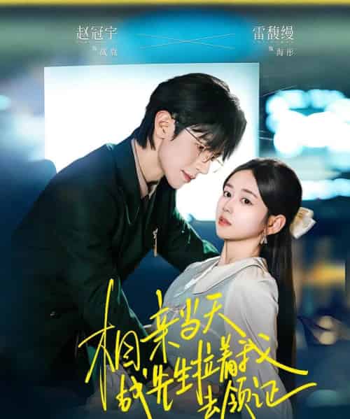 相亲当天战先生拉着我去领证(60集全)赵冠宇&雷馥缦-紫橙网创项目网