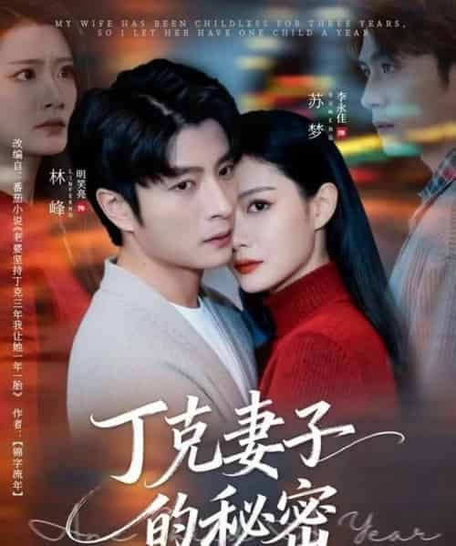 丁克妻子的秘密（60集全）李永佳＆明笑亮-紫橙网创项目网