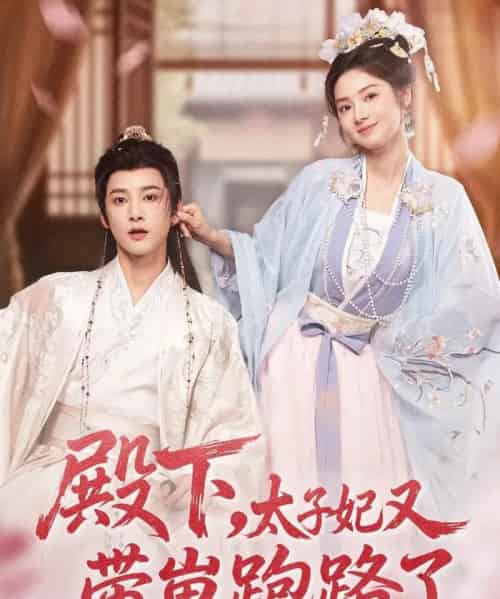 殿下，太子妃又带崽跑路了（70集全）冯俊熙＆刘容榕-紫橙网创项目网