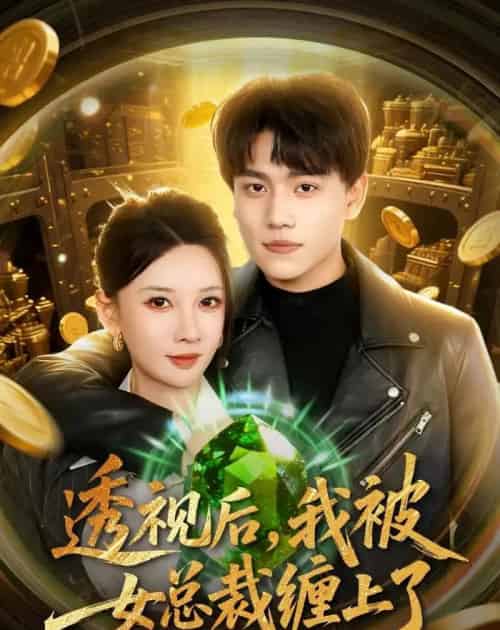 透视后,我被女总裁缠上了(79集全)张晓宇&张家嘉-紫橙网创项目网