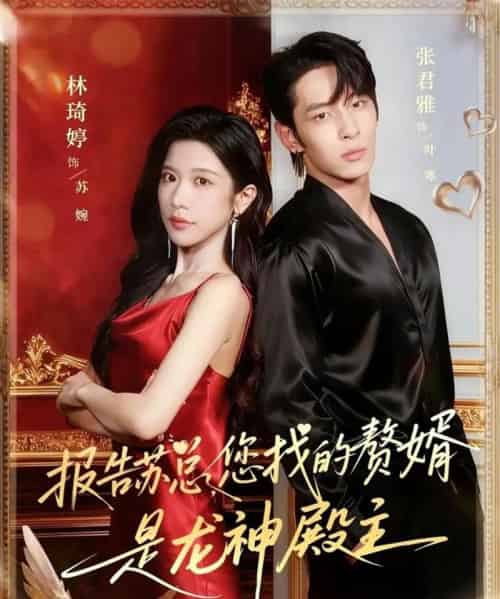 报告苏总，您找的赞婿是龙神殿主（72集全）张君雅＆林琦婷 - 紫橙阁短剧