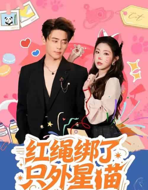 红绳绑了只外星喵(59集全)尹一博&李逸璇-紫橙网创项目网
