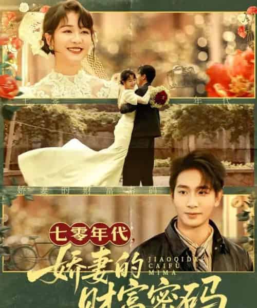 七零年代，娇妻的财富密码（71集全）徐沁薇＆王浩翔-紫橙网创项目网