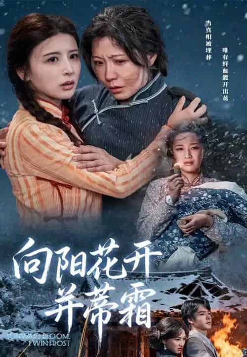 向阳花开并蒂霜(60集全)燕颢元&李沁霏-紫橙网创项目网