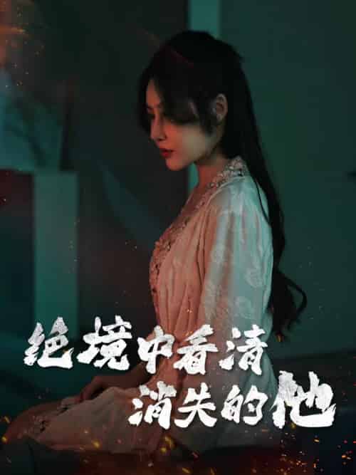 绝境中看清消失的他（31集全）赵学茹 - 紫橙阁短剧