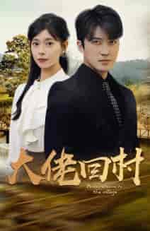 大佬回村（70集全）-紫橙网创项目网