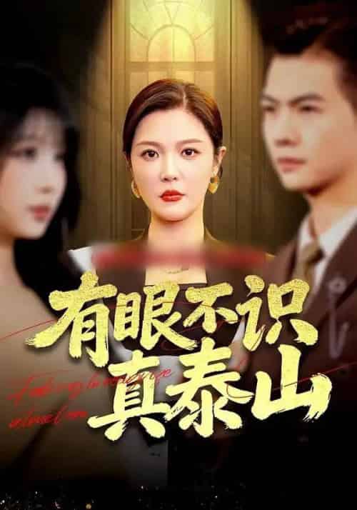 有眼不识真泰山（75集全）李明＆周霖-紫橙网创项目网