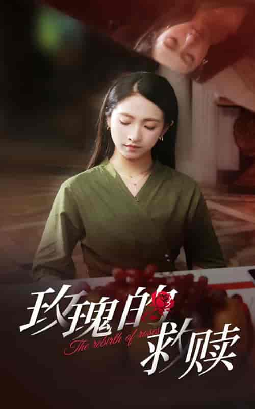 玫瑰的救赎（64集）-紫橙网创项目网