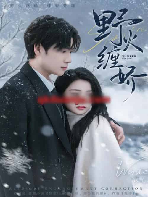 野火缠娇（66集全）胡金池＆刘苗苗-紫橙网创项目网