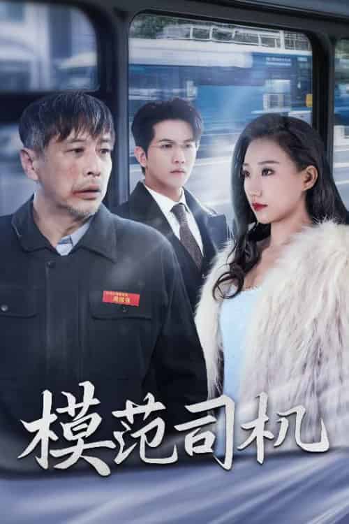 模范司机（30集全） - 紫橙阁短剧