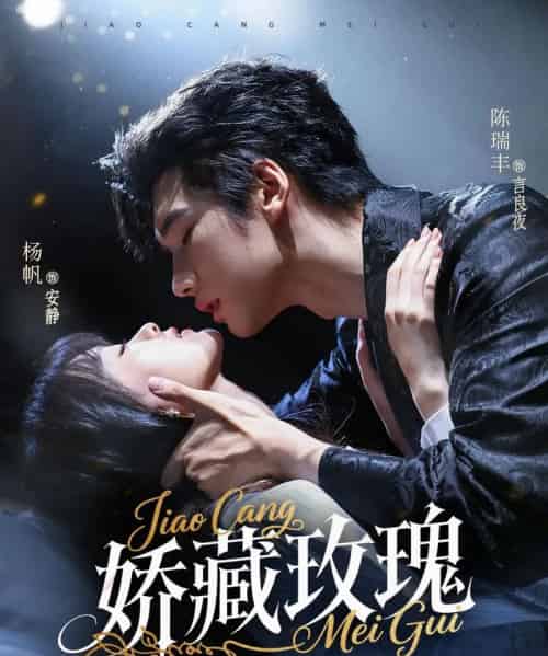 娇藏玫瑰（72集）杨帆＆陈瑞丰 - 紫橙阁短剧