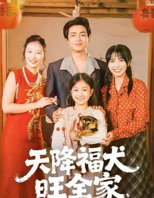 天降福犬旺全家（30集全）-紫橙网创项目网