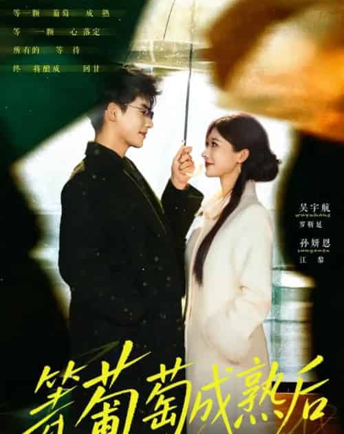等葡萄成熟后(82集全)吴宇航&孙妍恩-紫橙网创项目网