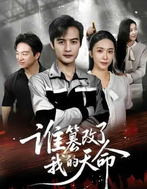 谁篡改了我的天命（60集全）胡悦＆于钊-紫橙网创项目网