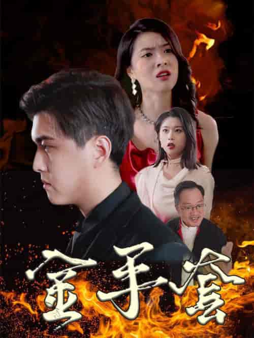 金手套（69集全） - 紫橙阁短剧