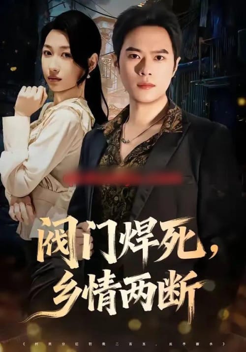 阀门焊死,乡情两断(60集全)金烁&曲美霖-紫橙网创项目网