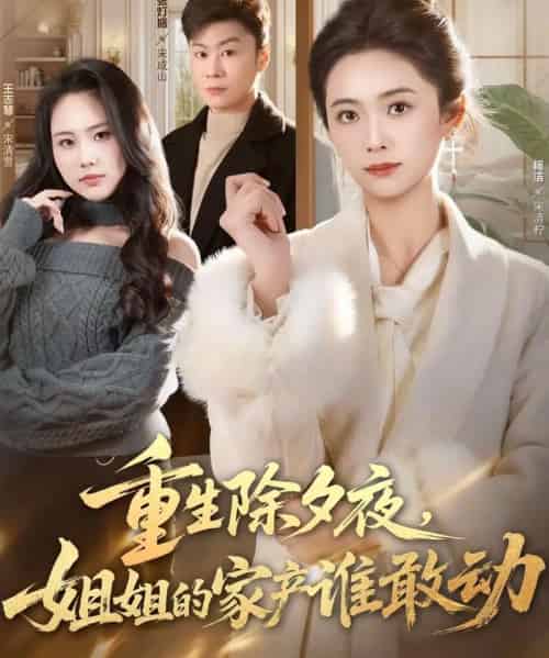 重生除夕夜,姐姐的家产谁敢动(60集全)柯洁&王志慧-紫橙网创项目网