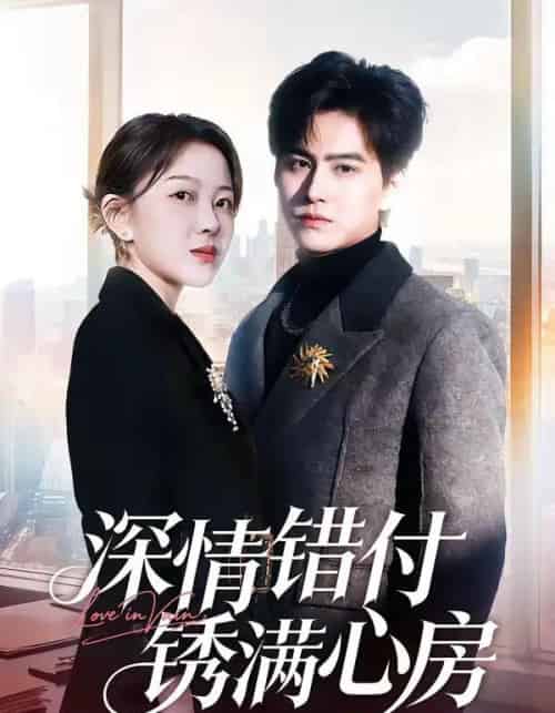 深情错付锈满心房（60集全）苏倚＆宗沐一-紫橙网创项目网