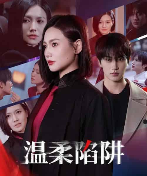 温柔的陷阱 温柔的陷阱