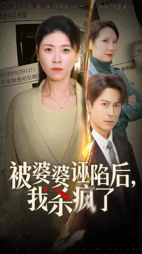 被婆婆诬陷后我杀疯了（30集全）诸玲颖 - 紫橙阁短剧