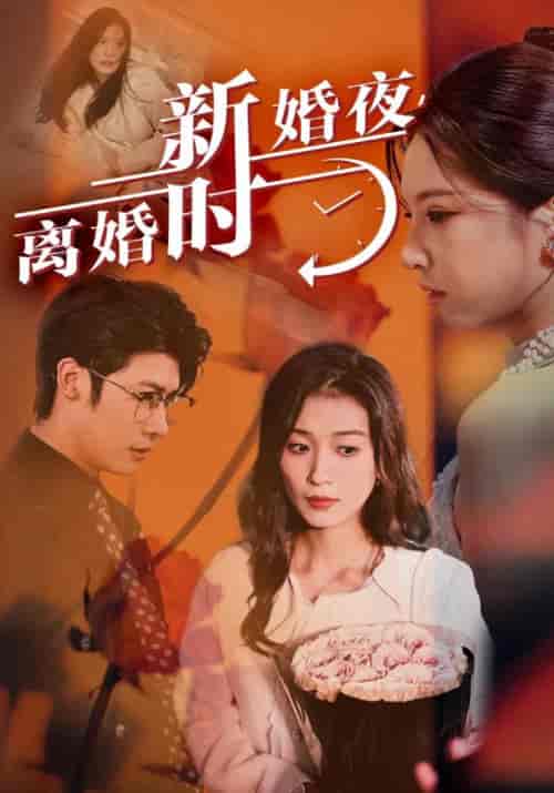 新婚夜，离婚时（35集全） - 紫橙阁短剧