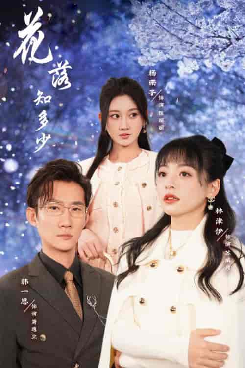花落知多少＆哥哥逆光而来（27集全） - 紫橙阁短剧