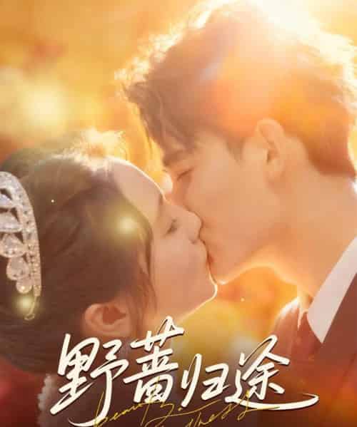 野蔷归途 野蔷归途
