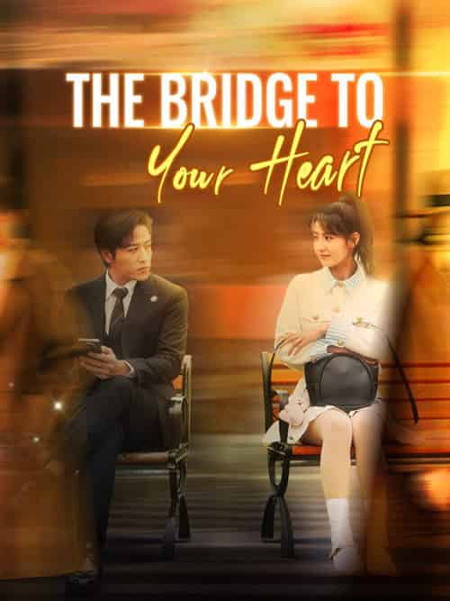 The Bridge to Your Heart（31集全）Chloe＆Ford＆＆Sean＆Lloyd - 紫橙海外短剧