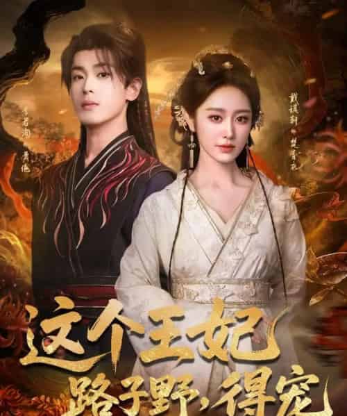 这个王妃路子野，得宠（77集全）李若洵＆戴琪轩-紫橙网创项目网