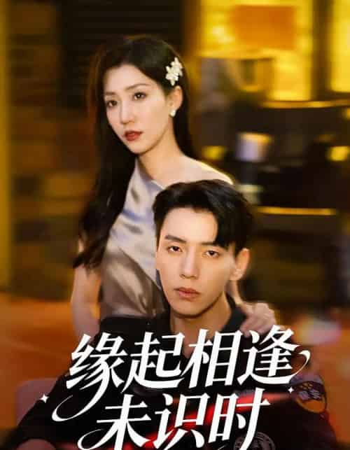 缘起相逢未识时（57集全）孙同钰＆尼玛坚赞-紫橙网创项目网