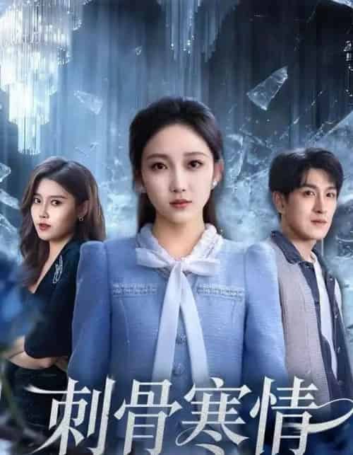 刺骨寒情(58集全)林可汉&马菲-紫橙网创项目网