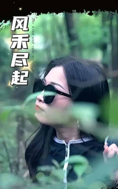 风禾尽起（31集） - 紫橙海外短剧