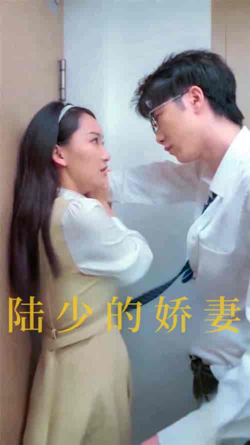陆少的娇妻（100集全） - 紫橙阁短剧