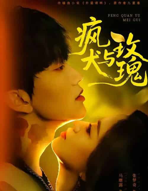 疯犬与玫瑰（80集全）马應露＆张梦奇-紫橙网创项目网